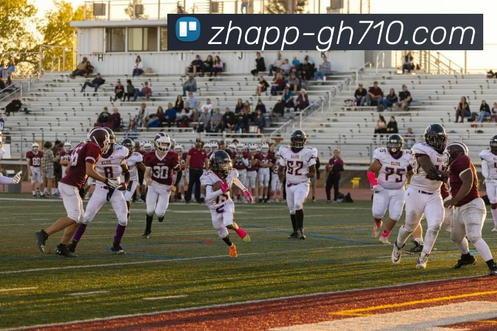 公海710官网服务体系